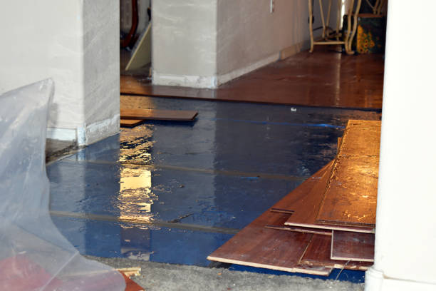 Professional Flood Damage Repair technician working in Campbellsburg, KY
